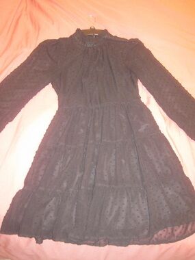 Black Long-Sleeve Swiss Dot Tiered Dress